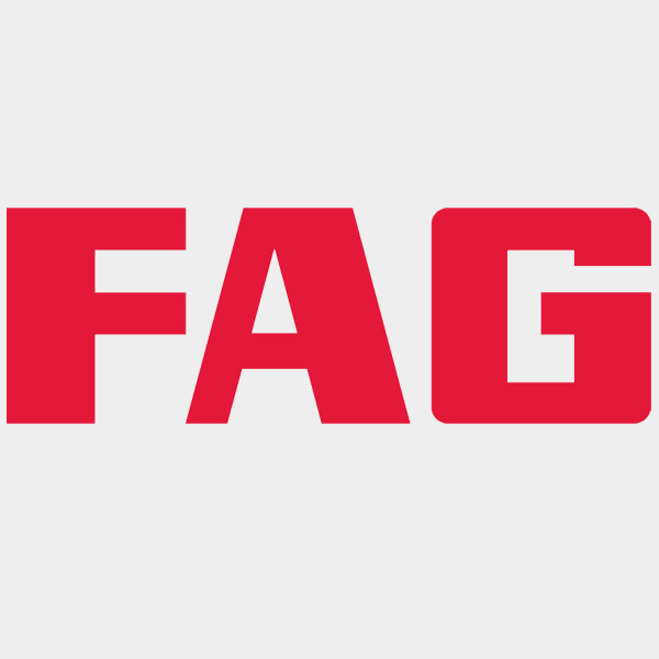 FAG bearing catalog bearing