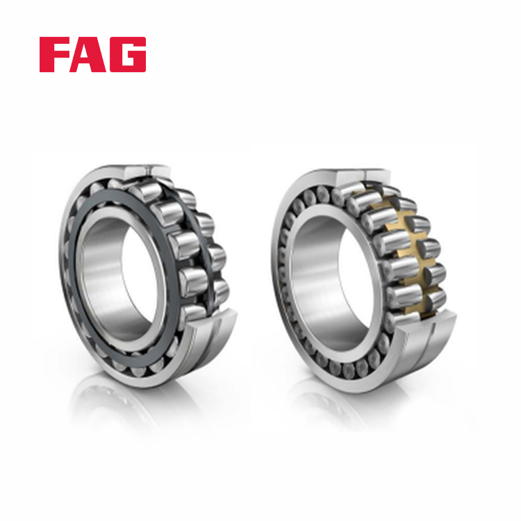 Fag self aligning roller bearing